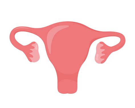 Medical vector illustration shows 4 types of hysterectomy partial, total and two radical types. . Uterus clipart